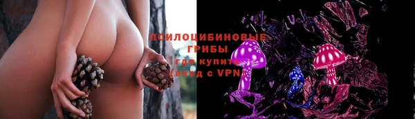твердый Алексин