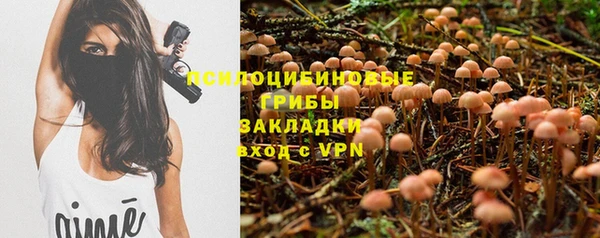 хмурый Саяногорск