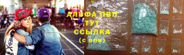 стаф Валдай